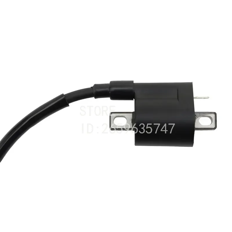 Ignition Coil for Outboard 4HP 5HP Replace 16064A1 369-06050-2 Marine Engine Parts 2