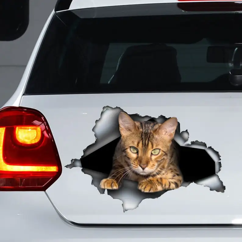 Al Cat Le Découpage de Voiture Idéal pour les Amoureux des Chatons Sauvages