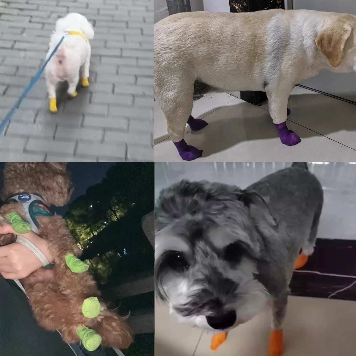Self-Adhesive Dog Bandage Non-Woven Cohesive Bandage for Pet Leg Wounds Paw Protection Sports Support Waterproof Breathable