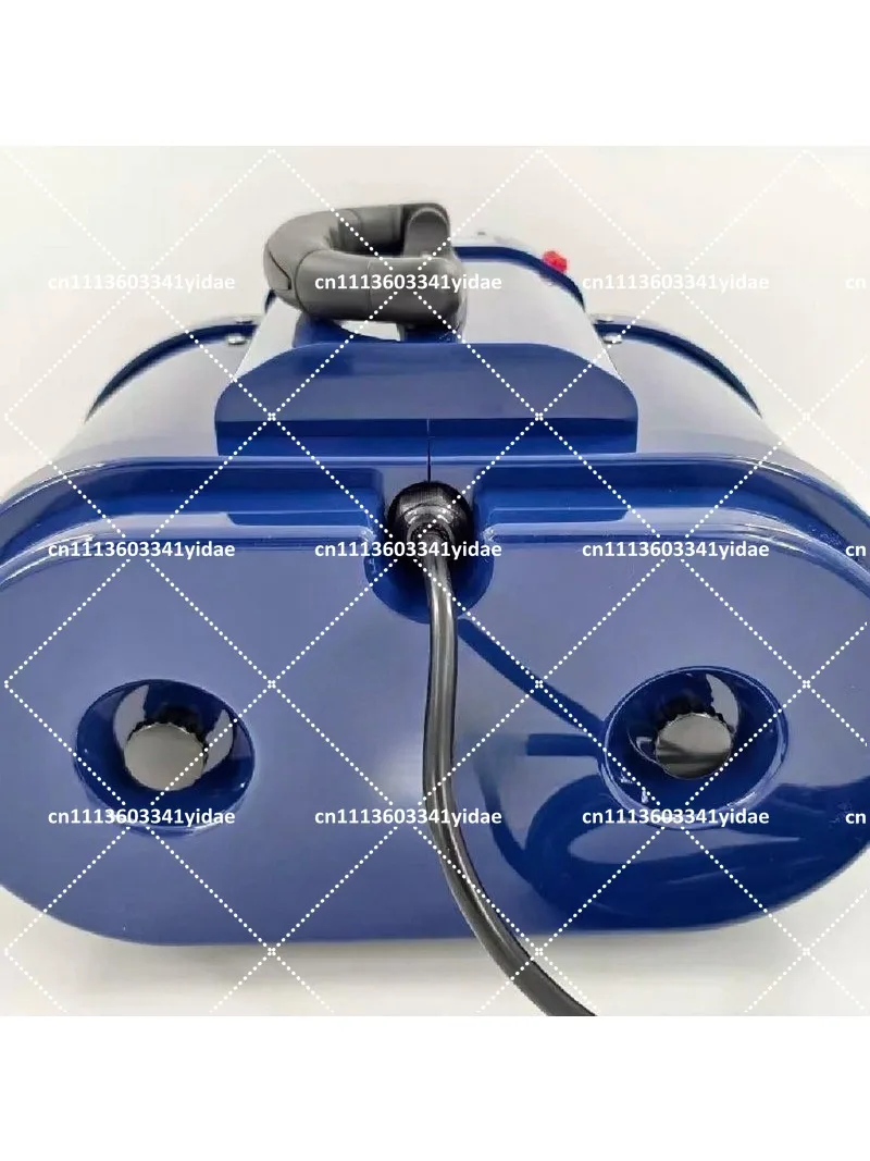 3000W Pet Special Water Blower Double Motor Large Dog Blowing High Power Bathing Blowing Drying Hair Dryer