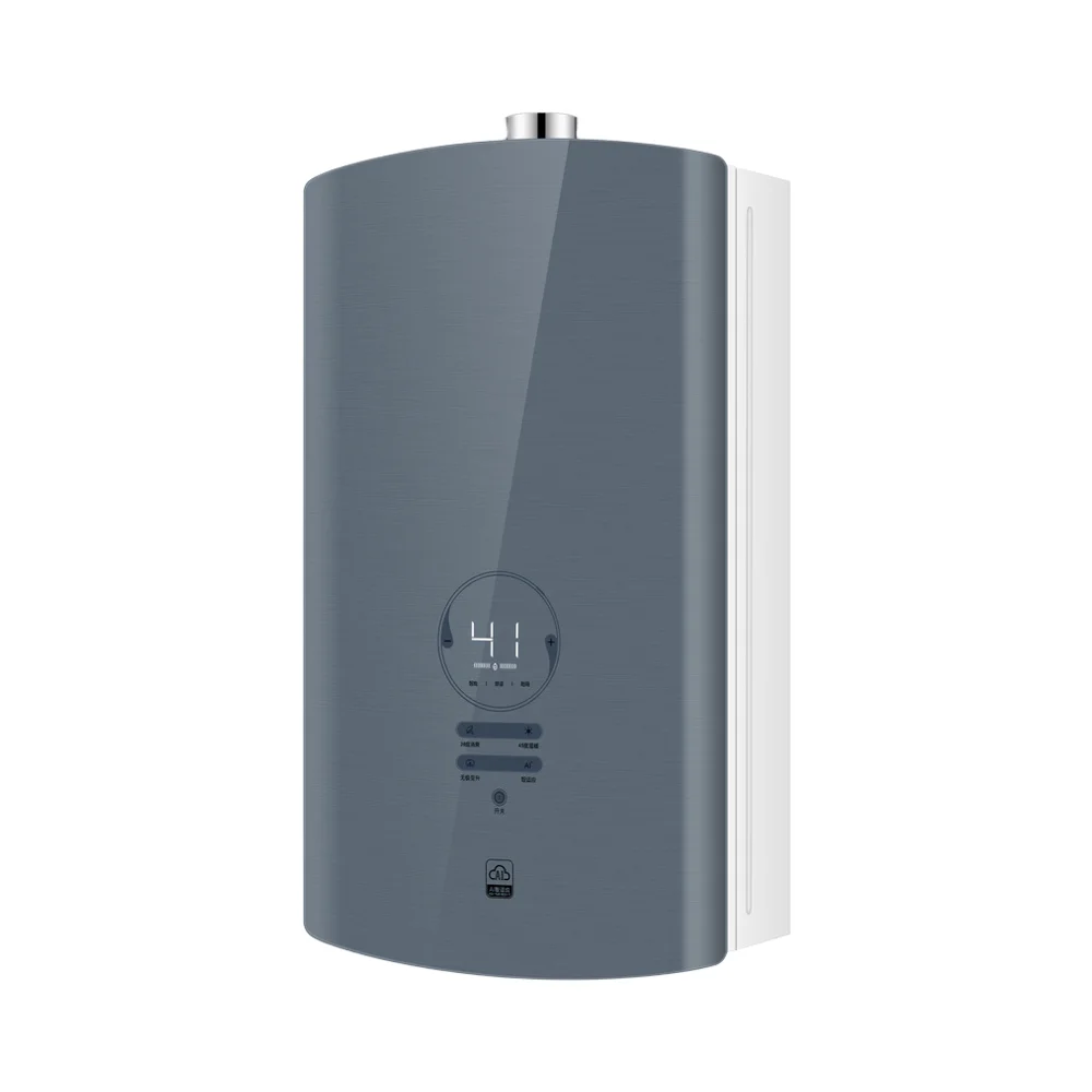 Calentador de agua de Gas rápido con ahorro de energía, precio de fábrica, superventas, electrodomésticos 10L13L14L16L con tanque de cobre certificado CE
