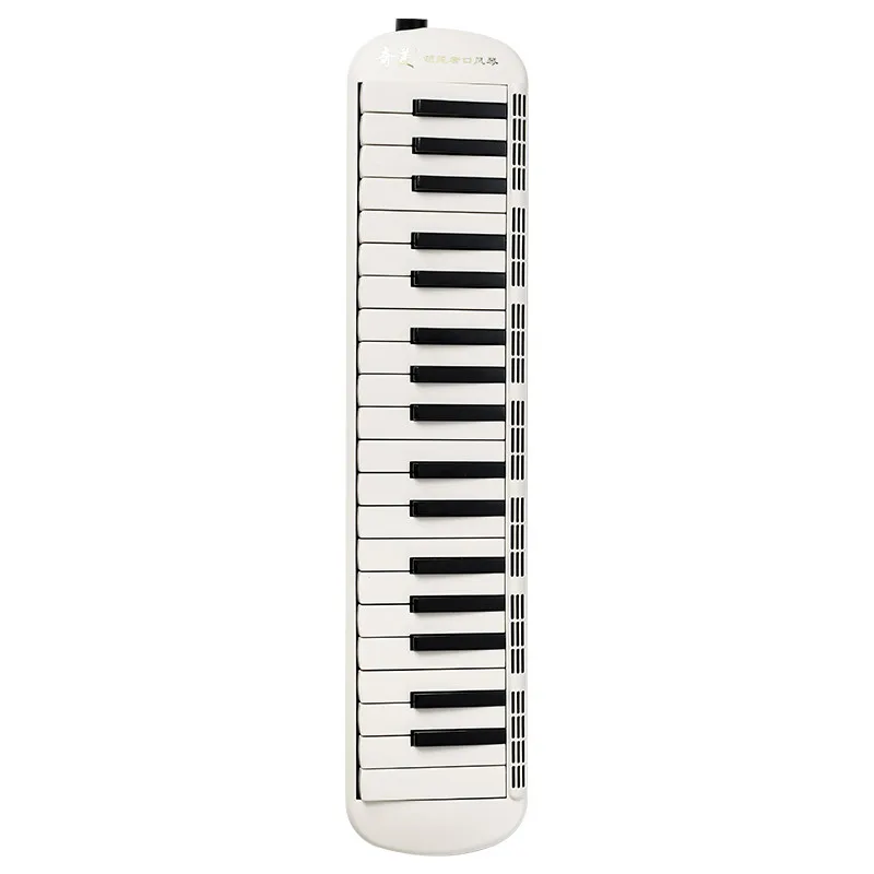 

37 Keys Melodica Professional Children's Music Keyboard School Teaching Melodicas Portable Keyboard Instrument with Carry Bag