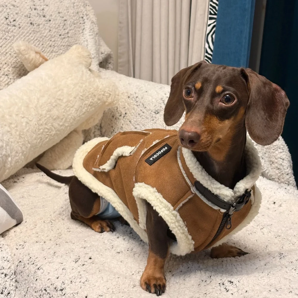 Chaleco de invierno con piel para perros salchicha, chaleco grueso y cálido, ropa para perros salchicha a la moda, abrigo marrón para perros pequeños y medianos