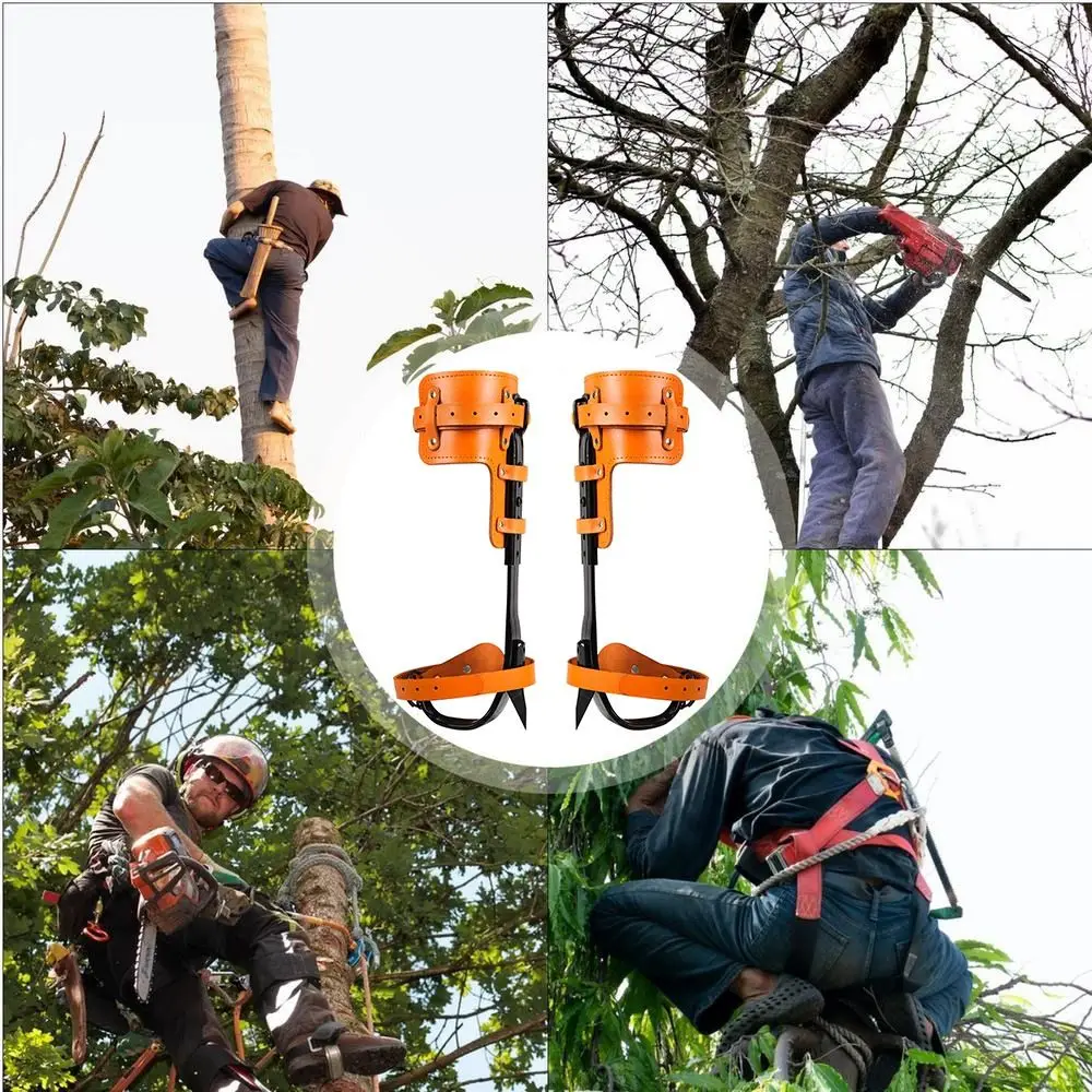 

Height Adjustable Upright Tree Climbing Tool Strong Load Capacity Rustproof Tree Climbing Gear Safety Anti-slip