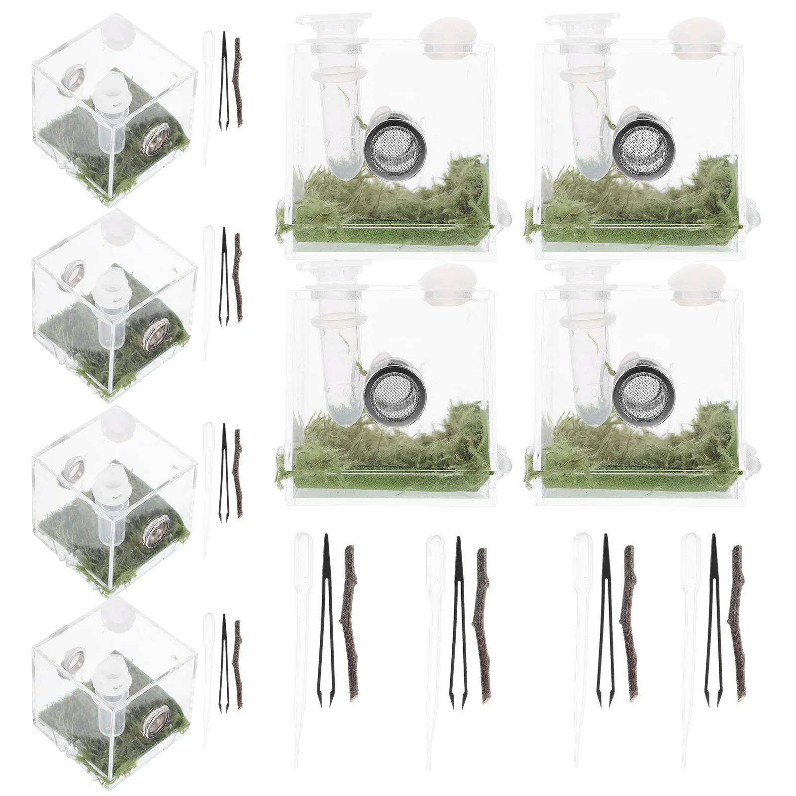 1 Set of Transparent Jumping Spider Enclosure Acrylic Snail Container Insect Habitat Cage