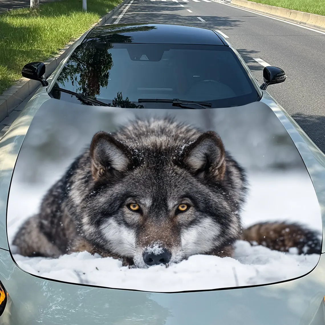 

The Gray Wolf Lying On The Snow Hood Decoration - Self-Adhesive Car, Motorcycle, Truck Hood Stickers - Easy Application & Remova