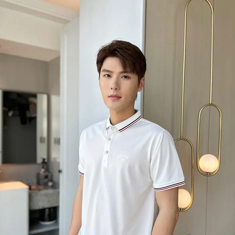 Men's breathable hot selling T-shirt, business casual POLO shirt, summer fashion short sleeved golf sports top image 6