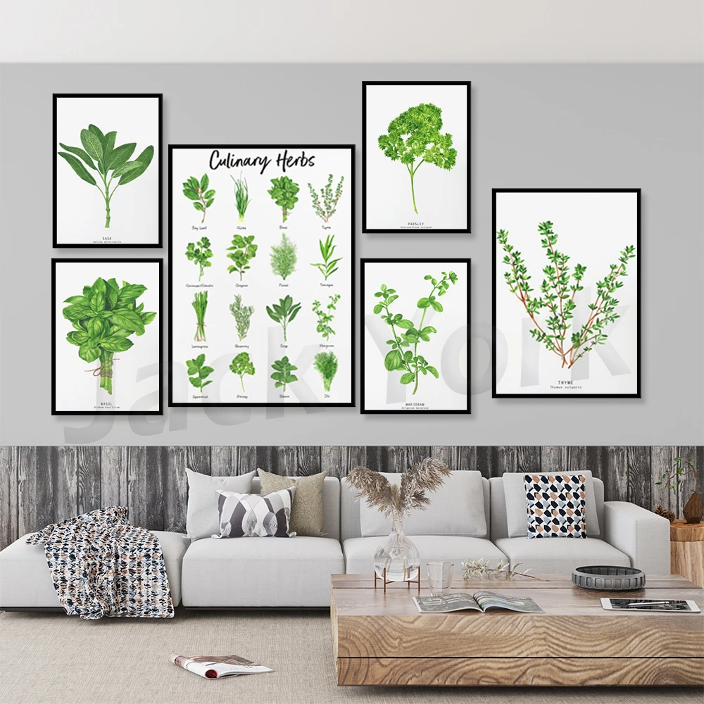 Cooking Herb Watercolors | Nature Studies for Kids | Educational Homeschool Posters | Nature Playing Kids | Botanical Drawings