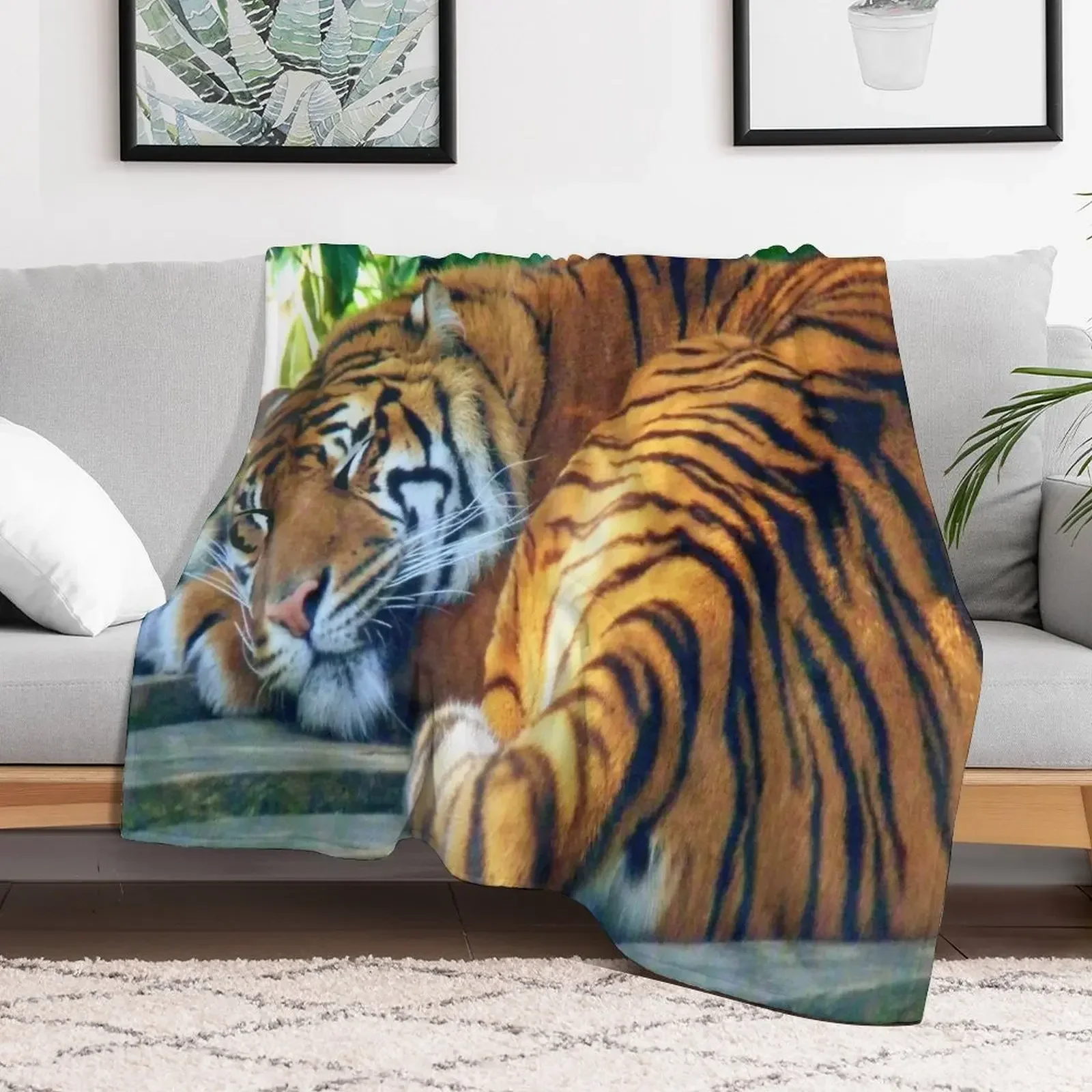 

Sleeping Beauty (white background) Throw Blanket Flannels Beautifuls Sleeping Bag Blankets