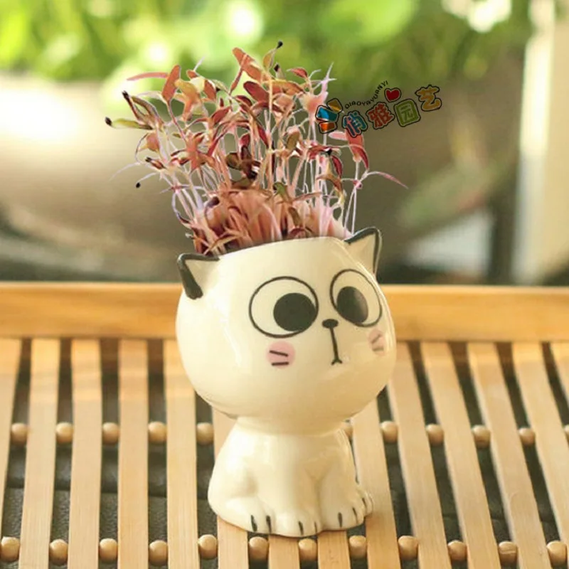 Ceramic Flowerpot Mini Cat Shaped Cartoon Cute Potted Plant Desktop Potted Expression Cat Plant Pot Desk Decorate Small Ornament