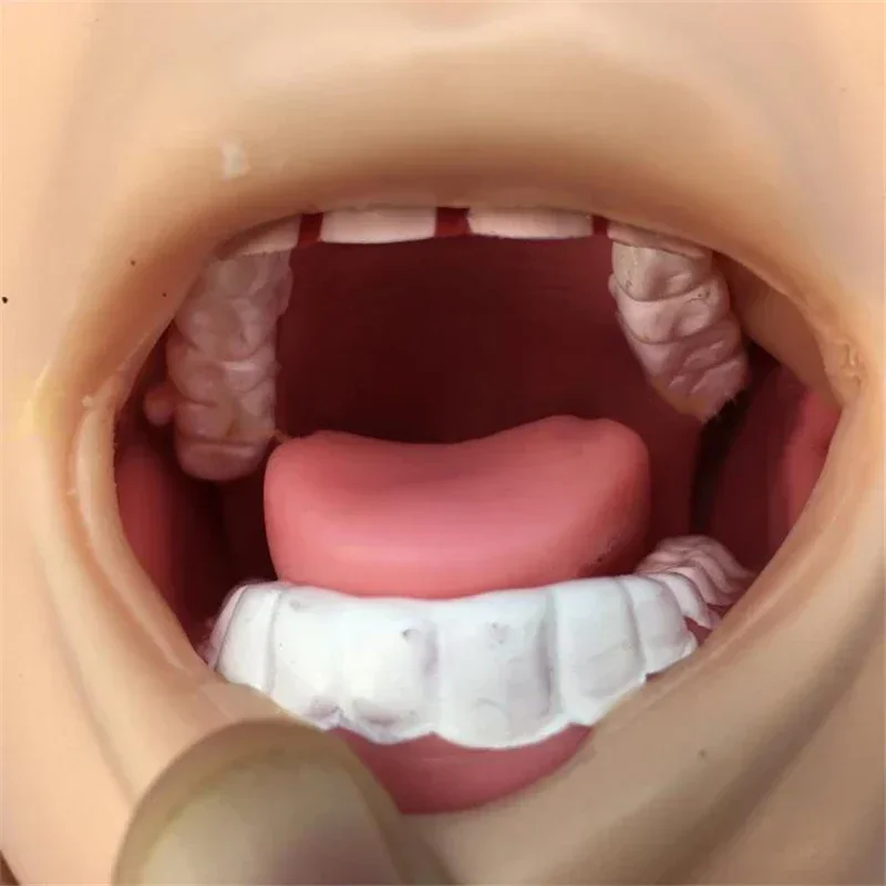 Intubation Manikin Study Teaching Model Airway Management Trainer PVC With Teeth