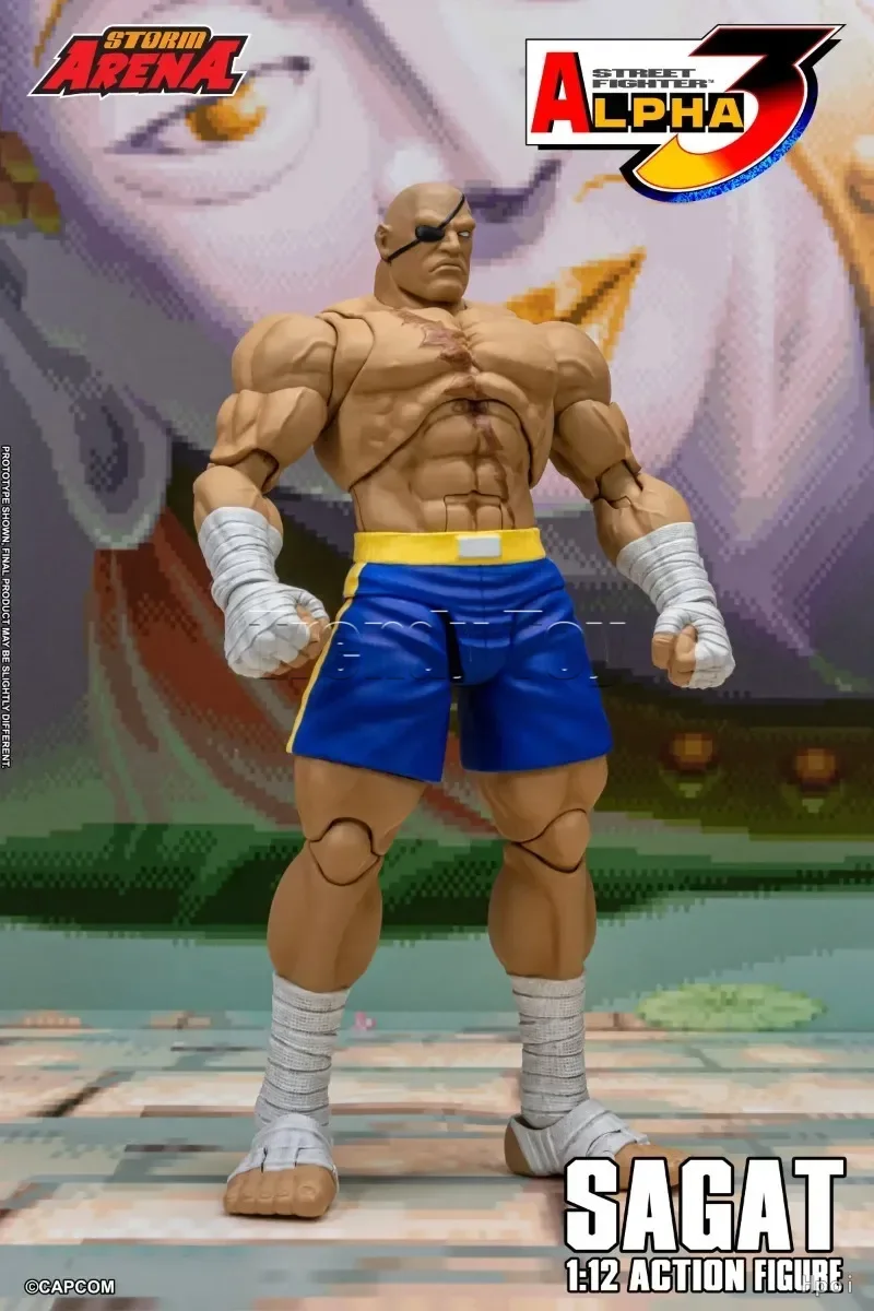 Dan STORM ARENA Sagat Action Figures Ryu Hoshi Street Fighter Alpha 3 Anime Model Ken 1/12 Scale Charlie Nash Collection Display