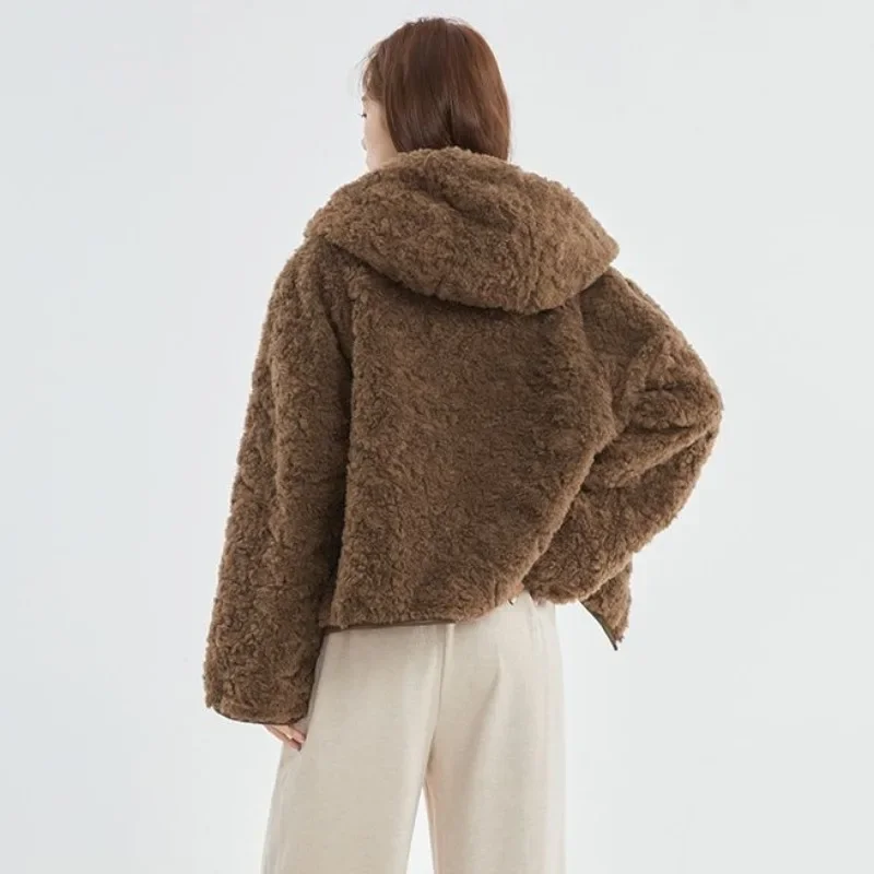 Models Fairy Winter Faux Fur Coat Hooded Lambswool Thickened Warm Advanced Simple Loose Brand Fashion Versatile