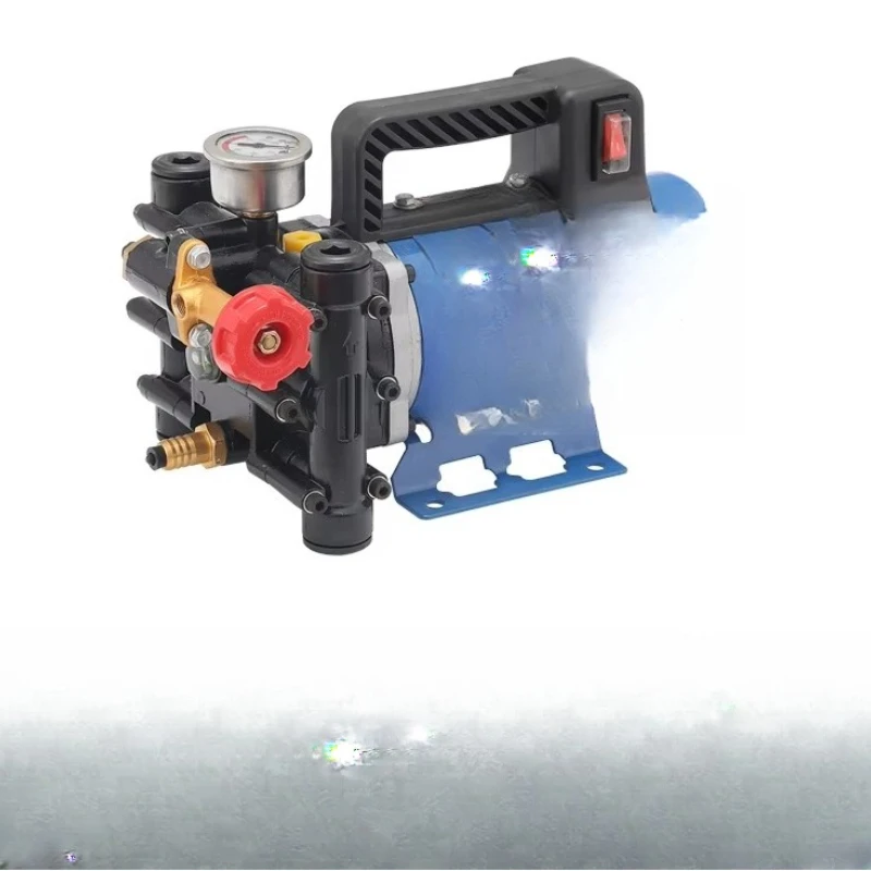 

Portable 12v/24v dc plunger double cylinder electric pump high pressure agricultural sprayer