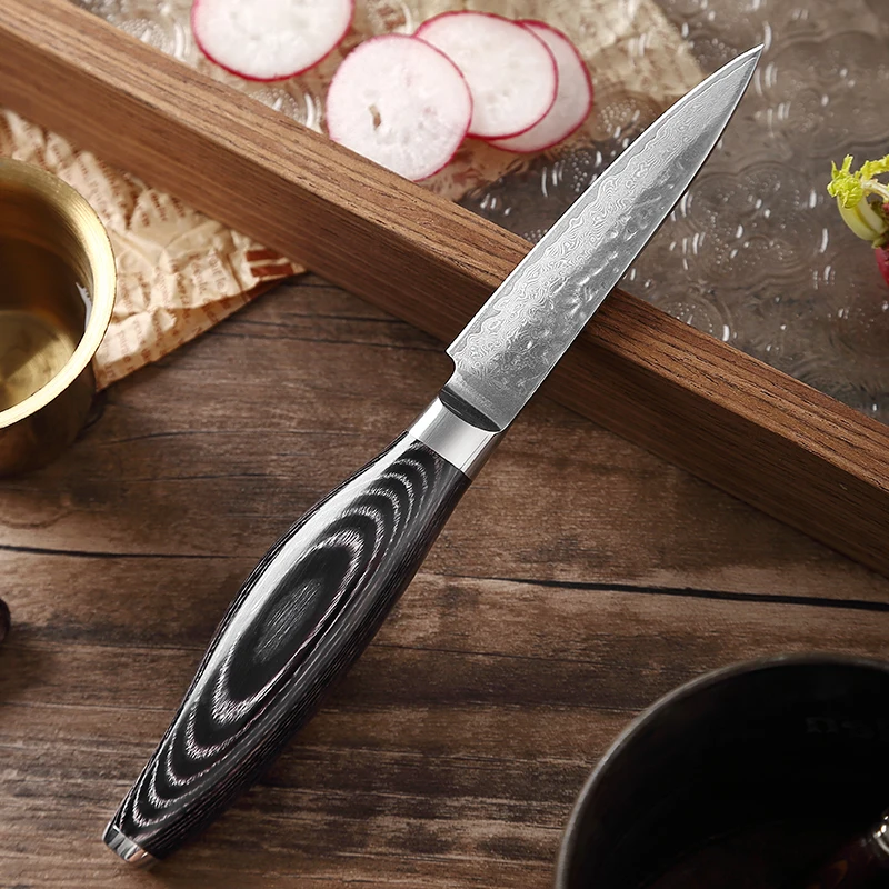 

TJ POP Handmade Forged 3.5 Inch Paring Knife 67 Layer Damascus Steel Pakkawood Handle Sharp Fruit Knife Slicing Peeling knife