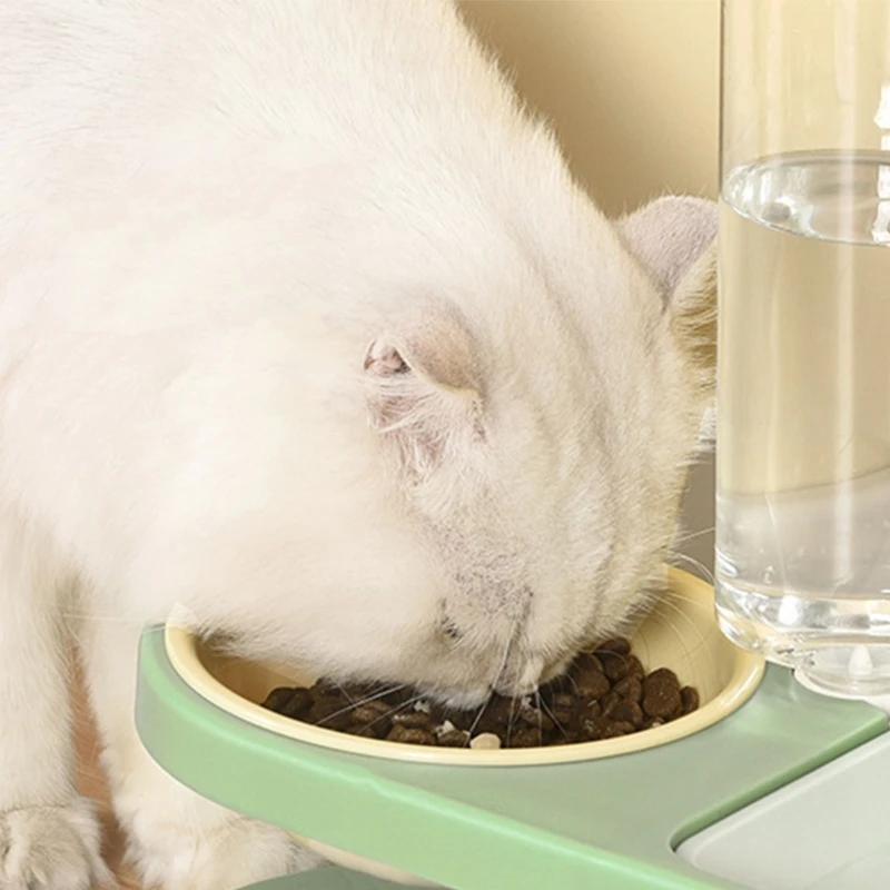 2 in1 Pet Tableware Dog Water Bowl Water Dispenser Set Elevated-Bowl Water Fountain