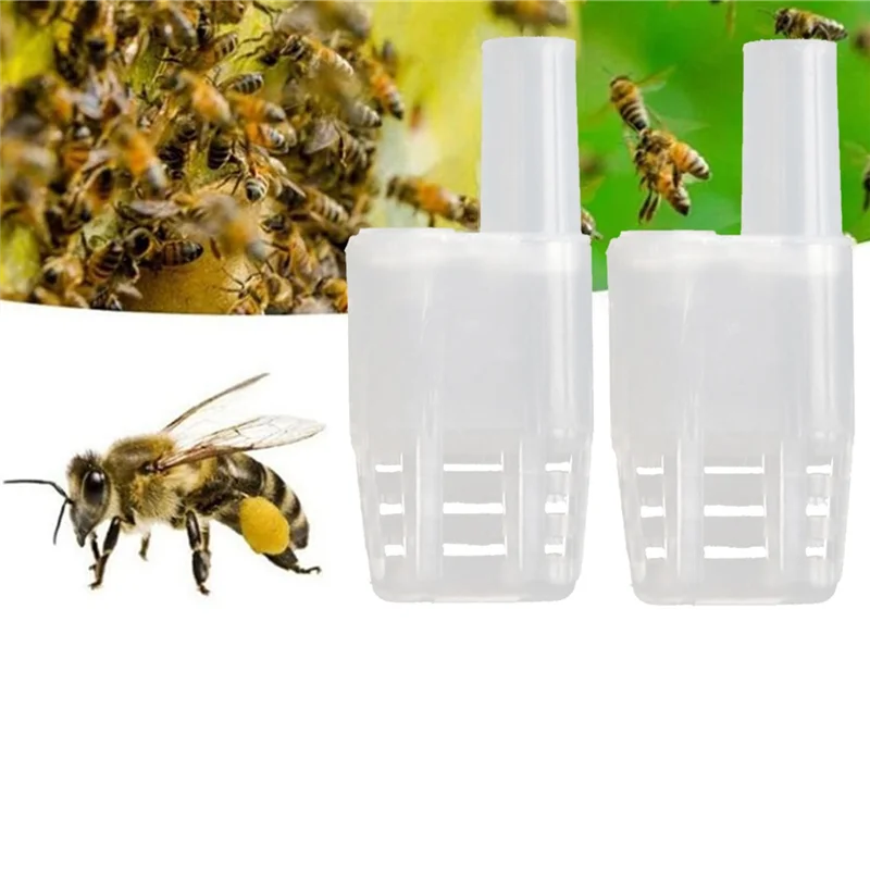 ABXF-New Queen Bee Cage Beekeeper Plastic Bee Isolator Clip Beekeeper Breeding Tools Suitable For Indoor & Outdoor Use