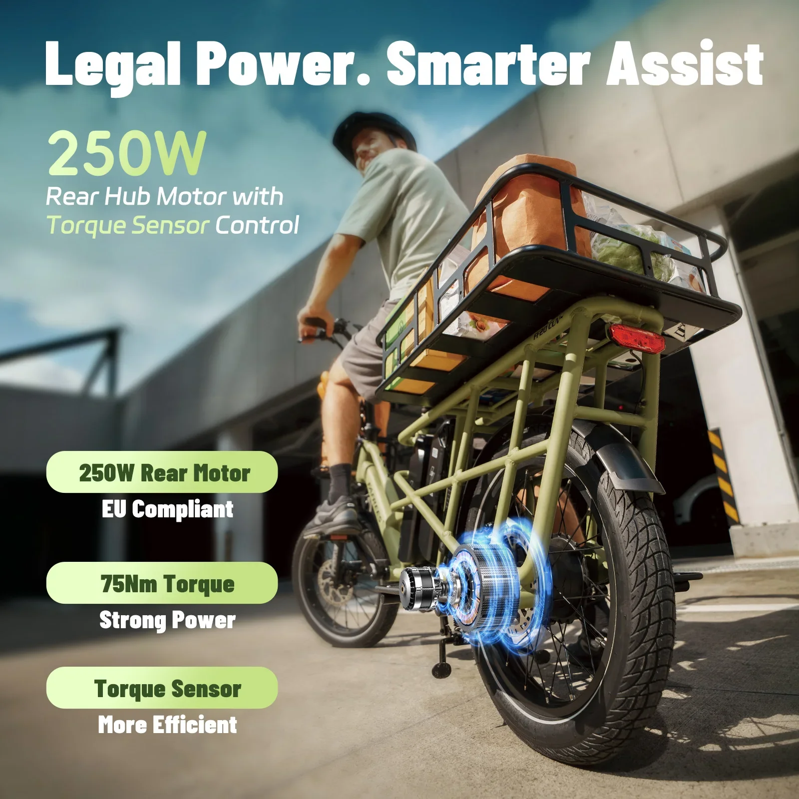 Fafrees FF20 CUV Bicicleta eléctrica 250W con batería extraíble