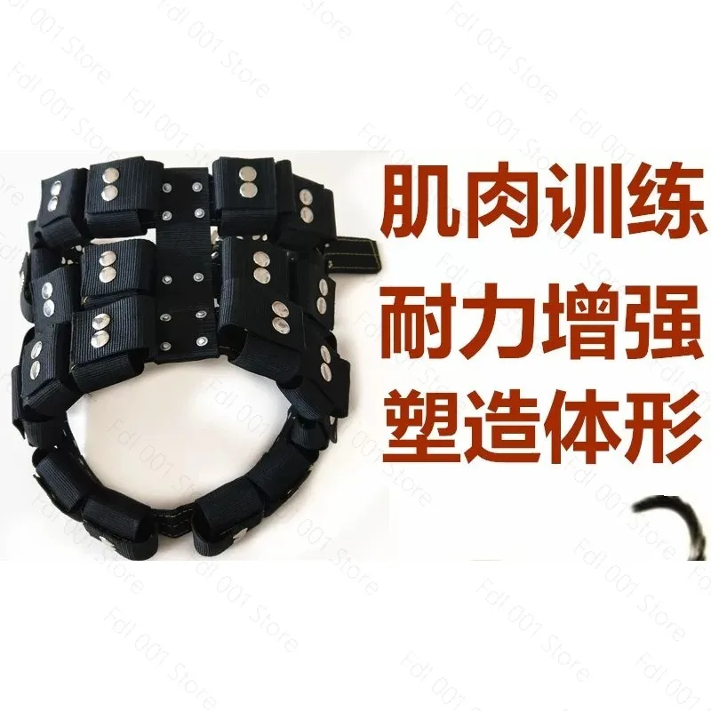 S-XL Empty Shell Weight Carrying Strap Workout Vest with Pockets Muscle Power Training Dog Harness For Large Medium Small Dogs