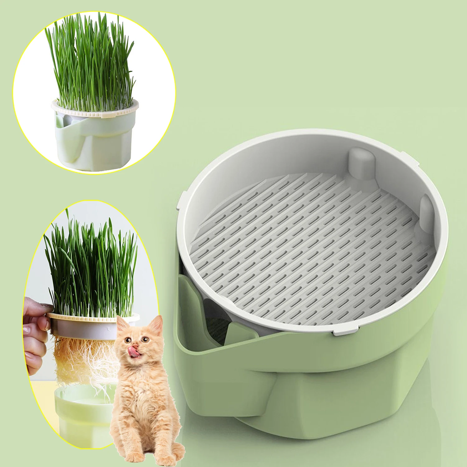 Contenedor reutilizable para cultivo de hierba gatera, taza para plantar hierba de gato hierarchical, cultivo hidropónico sin suelo, bandeja para germinación de plántulas