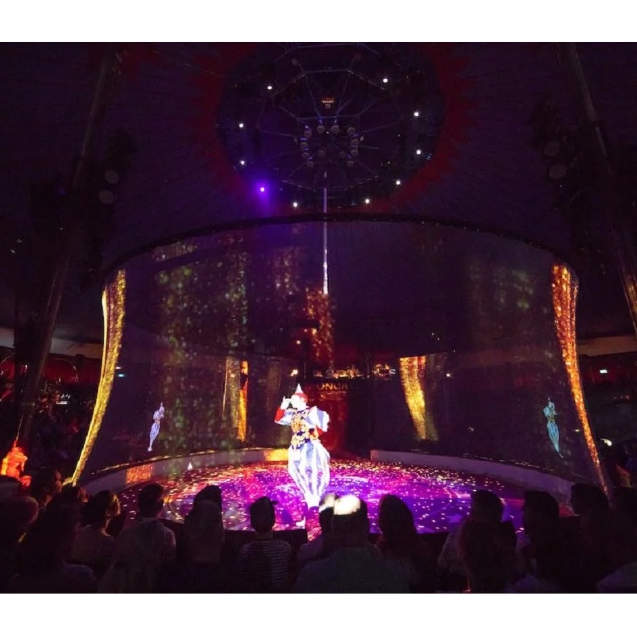 

Hologauze Scrim Projection Screen Large Scale Holographic Projection Screen up to 15m High X 50m Wide with No Seams.