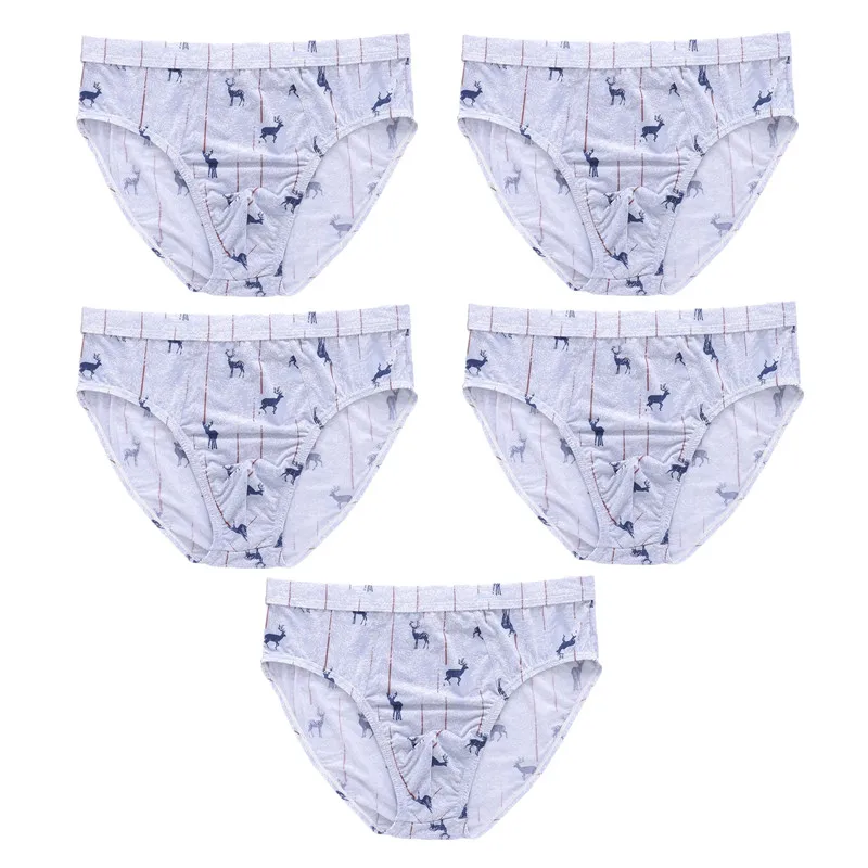 5 Pack Men Big Size Briefs Ice Silk Knickers Undies Underpants Panties Bottom Shorts Underwear Homme Print Sexy Lingerie L-5XL