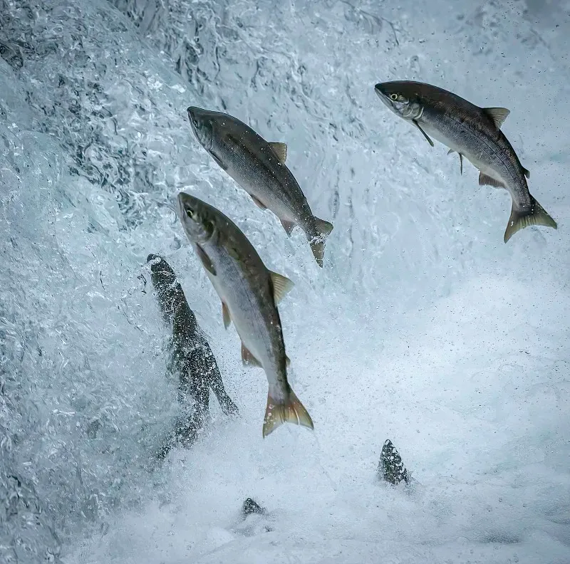 

120mm 4PCS Wheels Tires 17mm Hex Rim for 1/8 RC Car Buggy Off-Road Truck Redcat VRX HPI Kyosho HSP Wltoys