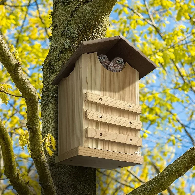Customizable Solid Natural Wood Birdhouse with Window Frame Classic Style Bird Nest Supplies