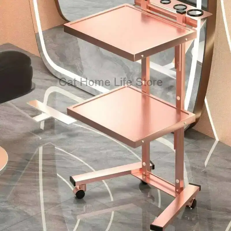 

Organizer Trolley Trolley Professional Cart Aesthetic Salon With Wheels Carrito Organizador Con Ruedas Salon Equipment Furniture