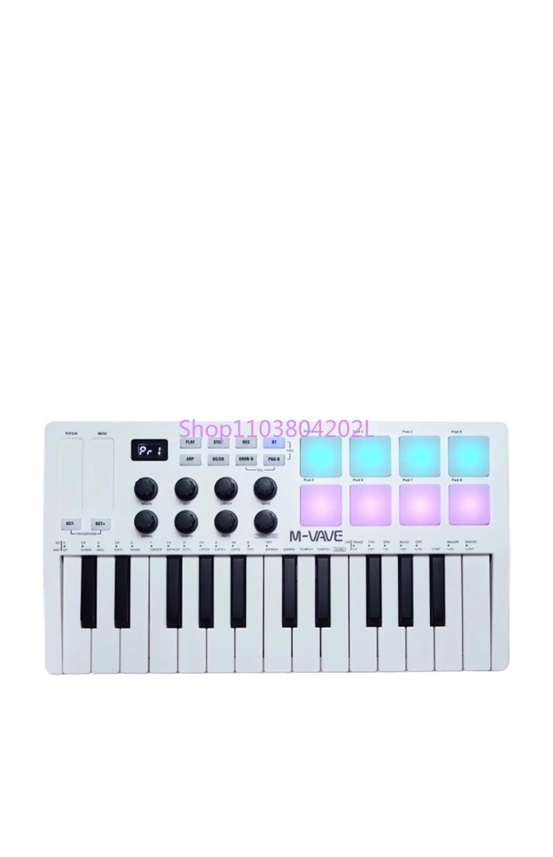 Smk25mini Portable 25 Keys MIDI Keyboard Controller Golf Mat Music Editing Bluetooth