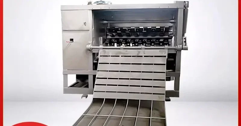 Pig shaving machine, whole pig shaving machine Pig hair removal and hair beating equipment