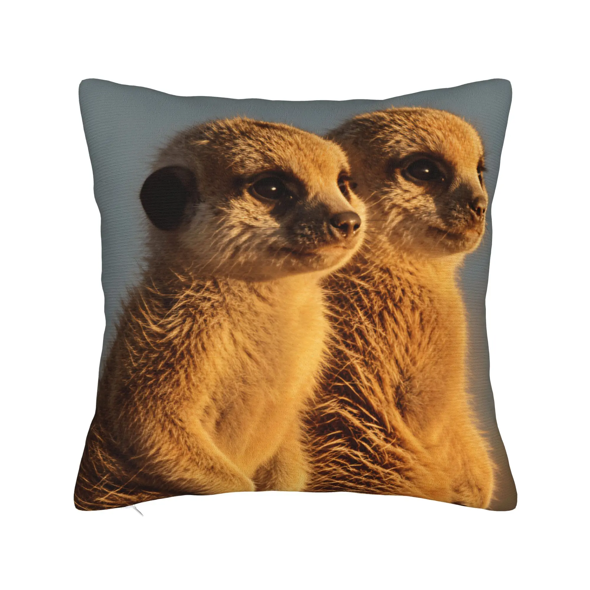 Two Baby Meerkats Sitting Together Sunset Photo Pillow Case  Comfy Pillow Cover For Sofa Home Decor Retro Trendy Pillowcases