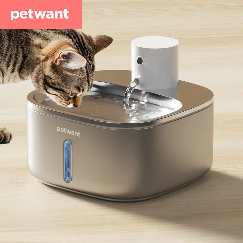 

Petwant 3.2L Stainless Steel Wireless Battery Operated Pet Drinking Water Fountain for Small Animals Dog Cat Drinker Accessories