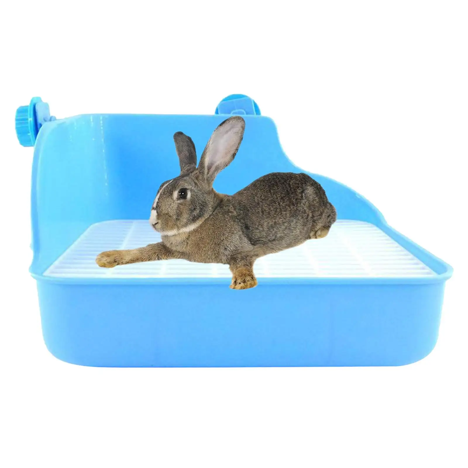 - Potty Cage Rectangular for Small Animals Pet Saucepan , Blue