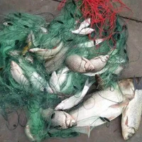 Red de pesca de tres capas con trampa flotante para peces de río, malla de enmalle gruesa de nailon de alta calidad, longitud de 100 metros de alto y dos metros