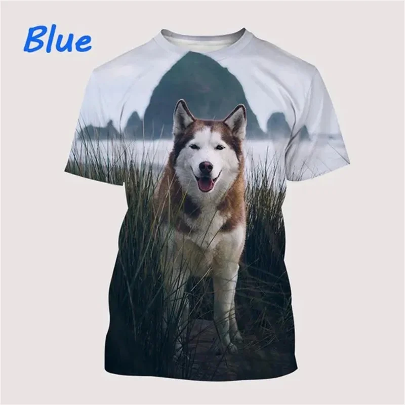 

Hot Sale Cool Animals 3D Husky Men's Women's Fashion Oversize T Shirt 3D Printed T-shirts Short Sleeve Casual O Neck Tees Tops