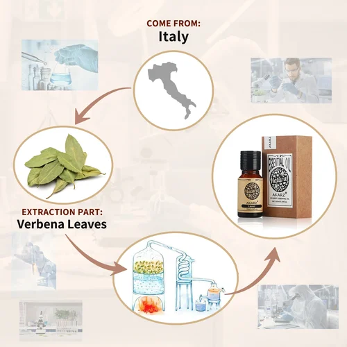 Imagen 2 del producto AKARZ aceite esencial de Laurel eliminación Natural del acné curación de heridas estimulan el crecimiento del cabello curación de la bahía de la herida aceite esencial