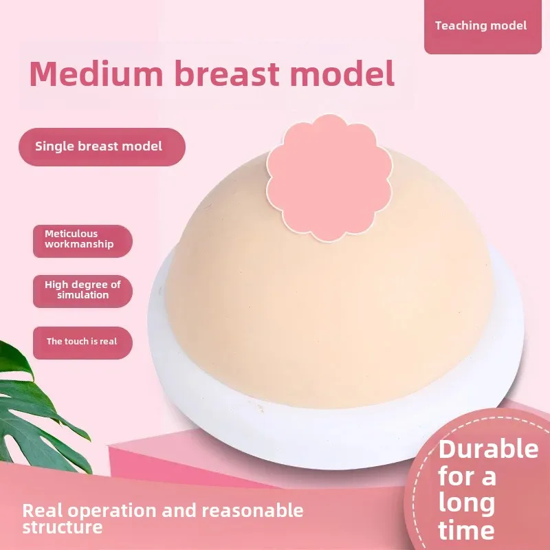 Women's Breastfeeding Simulation Training Tool Silicone Lactation Center Educational Equipment For Domestic Service Workers