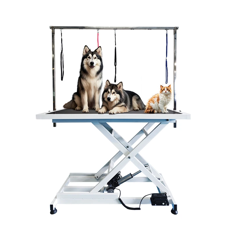

Modern Electric Lifting Shearing & Blow Dry Styling Table for Large Dogs Metal Construction for Pet Shops & Hospitals
