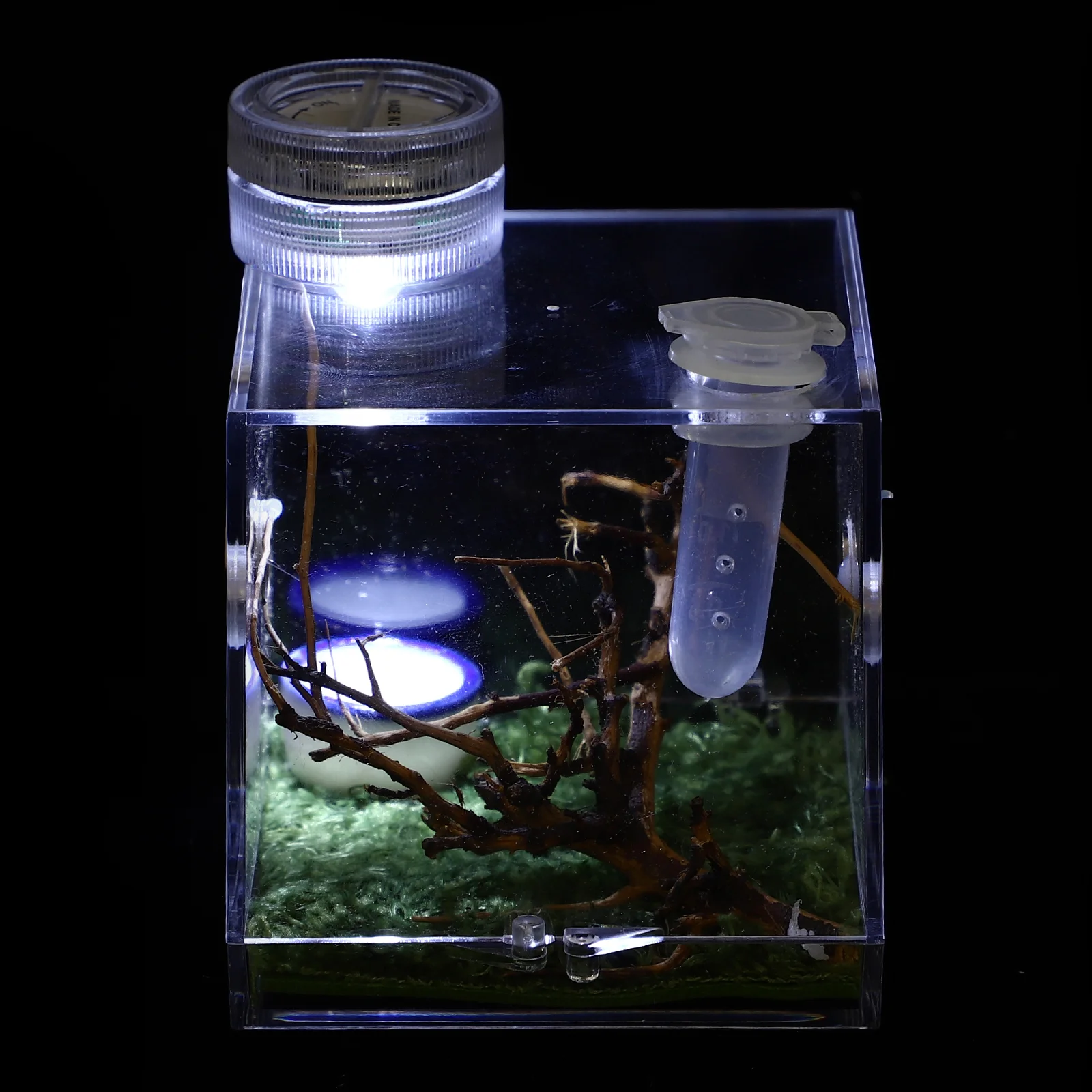 Micro Habitat Terrariums Spiders Jumping Breeding Box Miniature Carrier Clear Reptile Animals