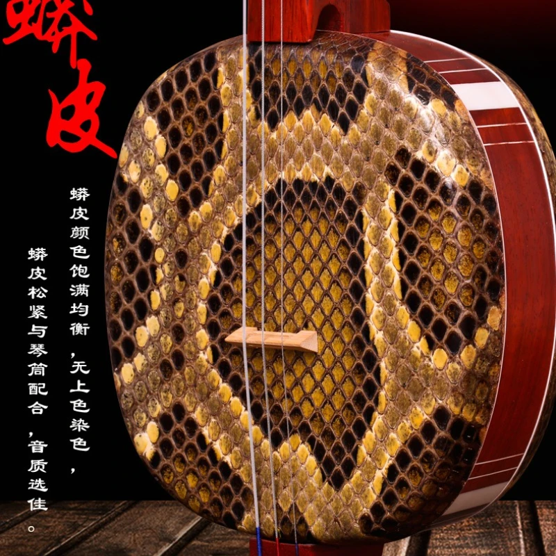 Nacionalidad de Suzhou, pera de cártamo, gran instrumento musical de tres cuerdas, piano para clasificación y actuación