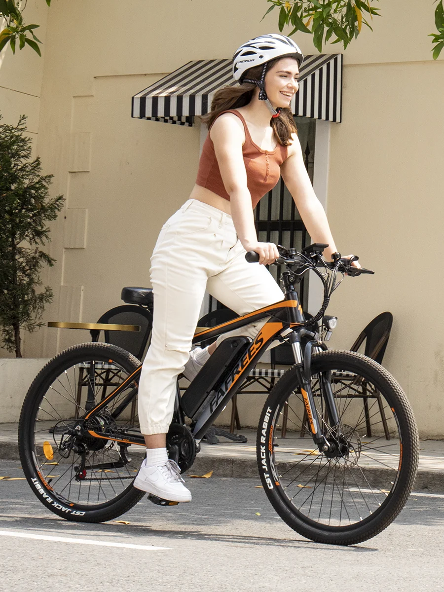 Fafrees Hailong One 26 Zoll Mountain E-Bike für Erwachsene 250W 36V 13,5Ah Abnehmbarer Akku, 21 Gänge und 55km Reichweite