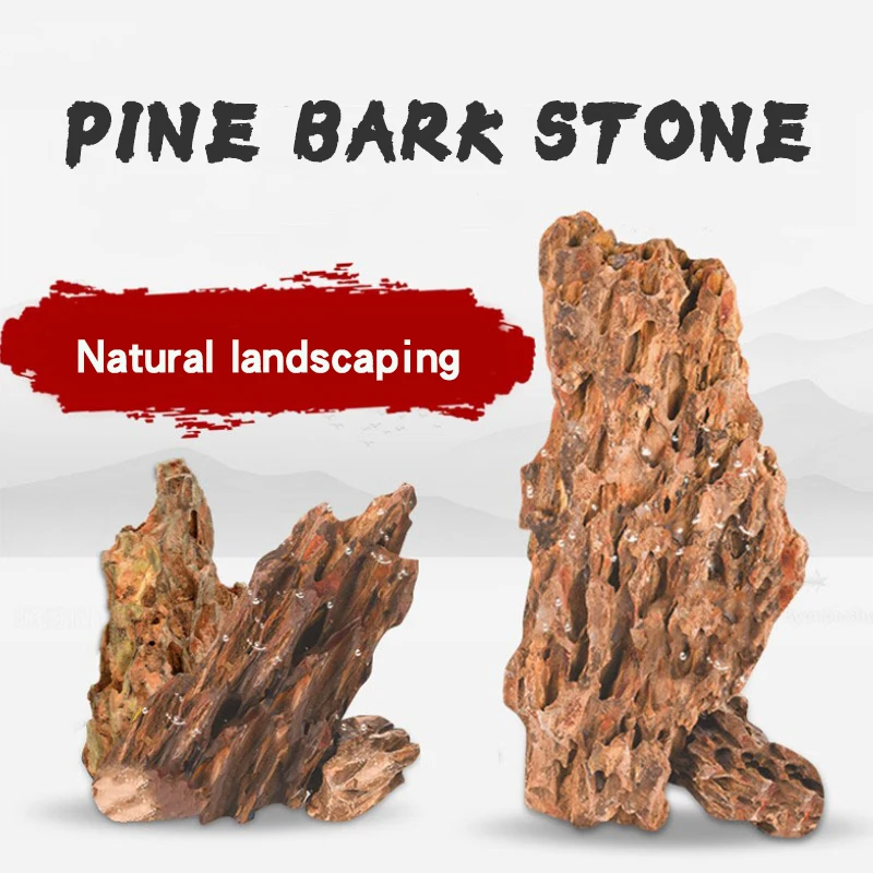 Fish Tank Natural Decoration Stone Pickled Qinglong Stone Boutique Natural Pine Bark Stone Fish Tank Landscap Porous Rockery