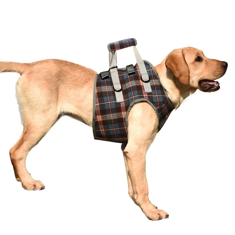 Pet Leg CarrierWalking BraceDog Leg BraceHind Leg DisabilityInjuryHigh Aged Dog Assistance Strap Dog Walking Dog Harness