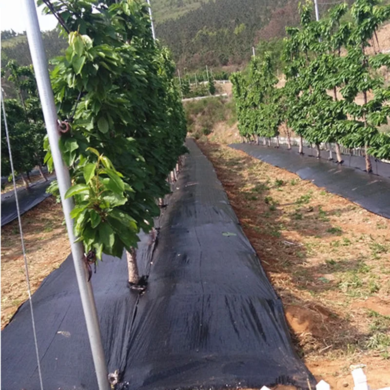 0.6m Width Anti Grass Mulch Cloth Pitaya Weed Barrier Mat  Orchard Humitifing Warm Breathable Garden Flowers Potting Plant Cover
