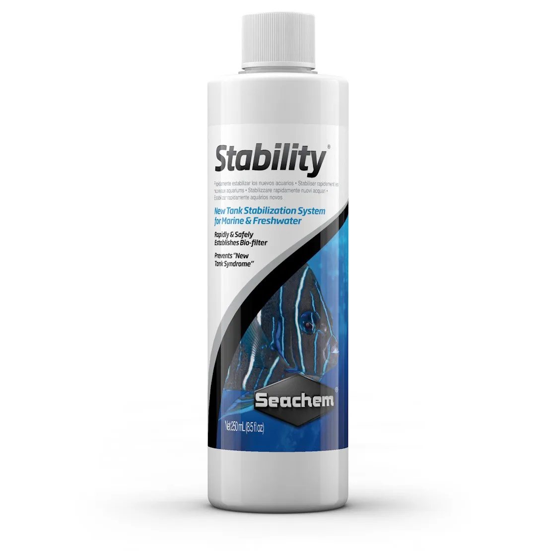 High efficiency of marine chemical nitrifying bacteria