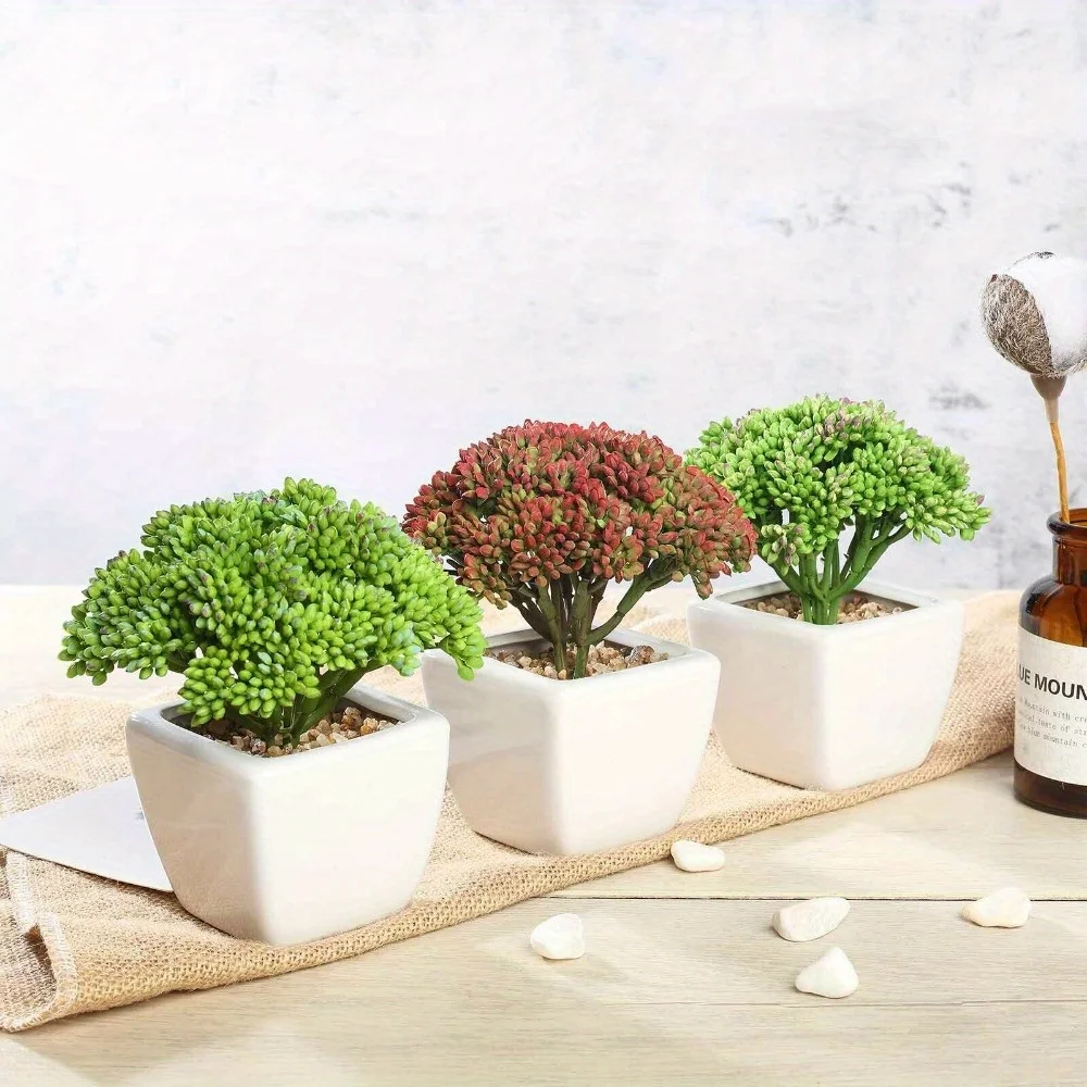 

Темно-зеленые белые горшки из искусственных суккулентов Sedum 6