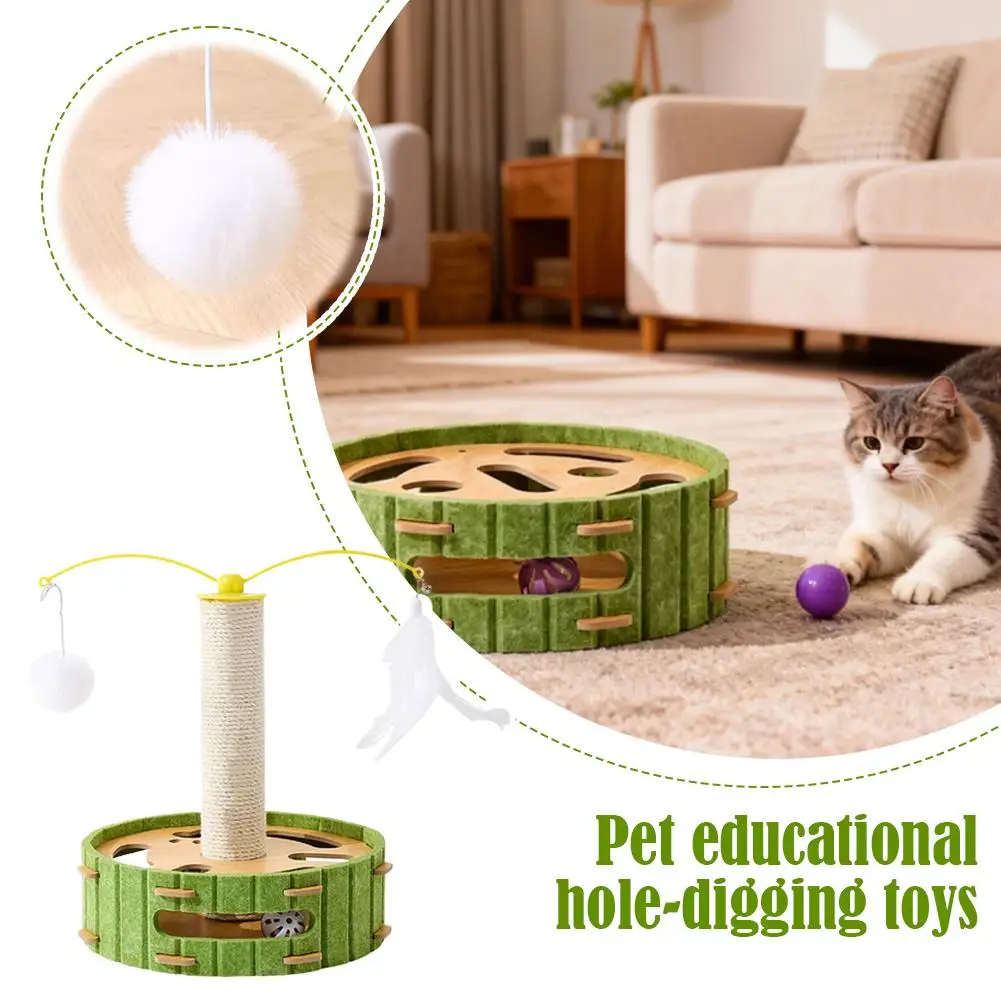 Pet Educational Hol…