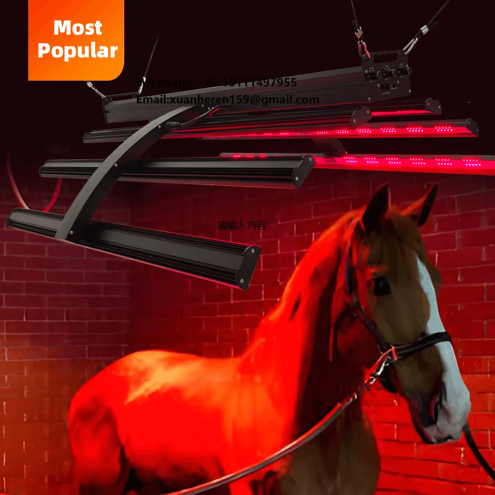 Redfy Barn Use Equine Red Light Therapy Led Infrared Solarium Device Full Body Treatment Infrared Red Light Therapy Horse Device