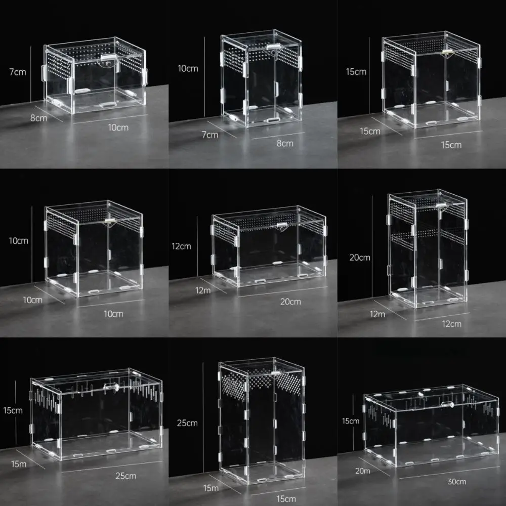 Durable Acrylic Reptile Habitat Clear Multiple Size Lizard Breeding Box Anti-Escape Arboreal Small Pet Cage for Scorpion - view 6